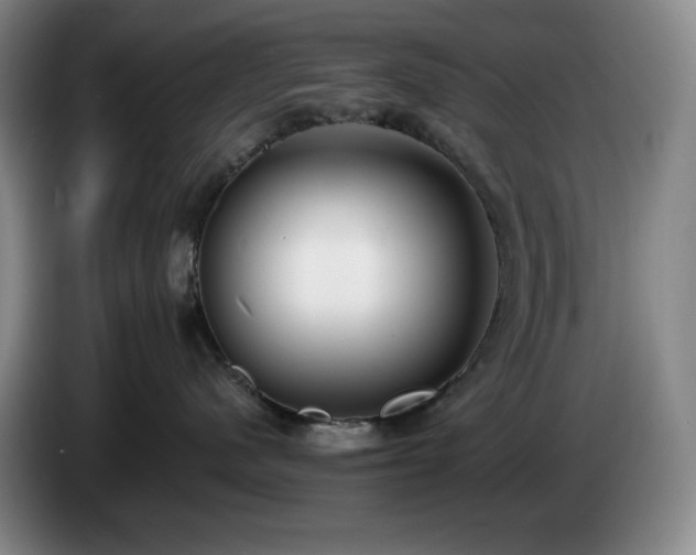 X0000085000480200703121504