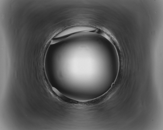 X0000085000481200703121503