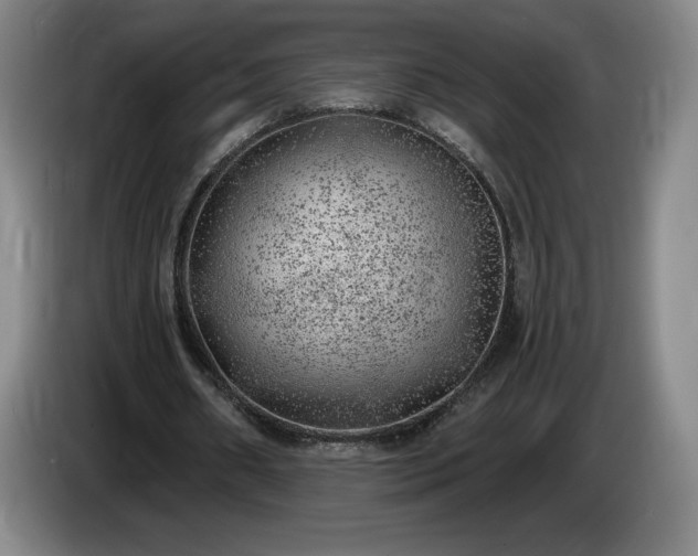 X0000085000482200703121503