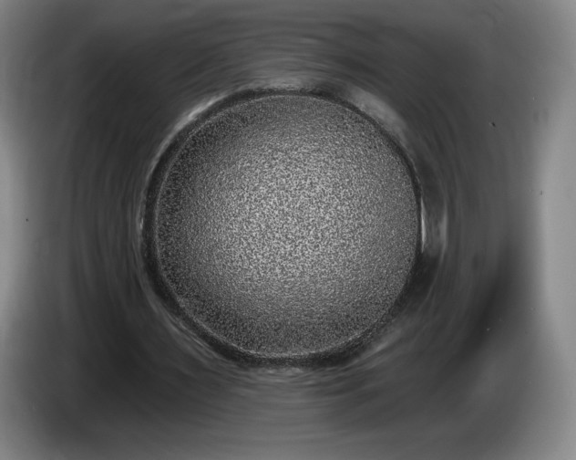 X0000085000483200703121503