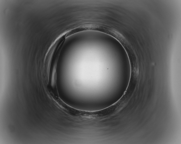 X0000085000484200703121503