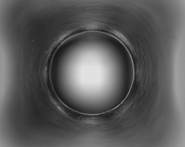 X0000085000485200703121503