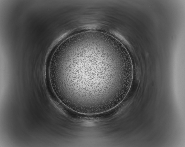 X0000085000486200703121503