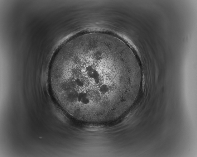 X0000085000487200703121503