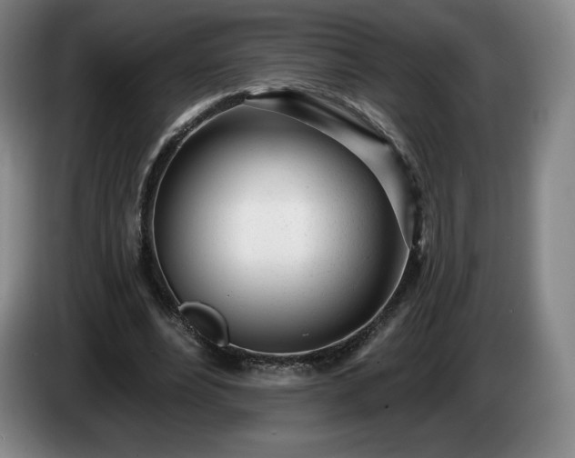 X0000085000488200703121503