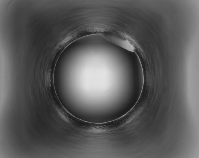 X0000085000489200703121503