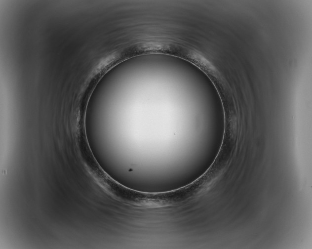 X0000085000490200703121503