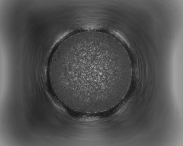 X0000085000491200703121503