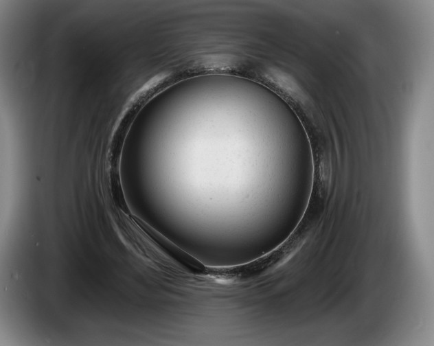 X0000085000492200703121503