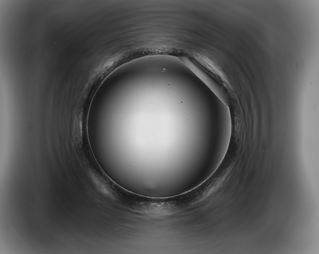 X0000085000493200703121503