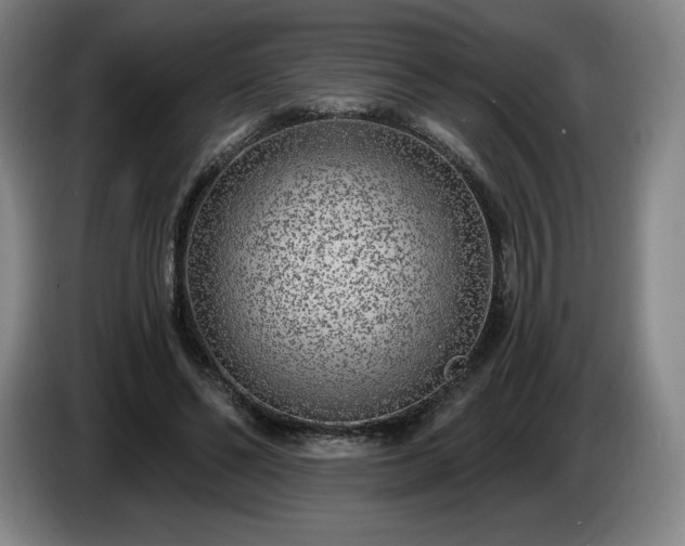 X0000085000494200703121503