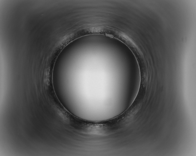 X0000085000497200703121503