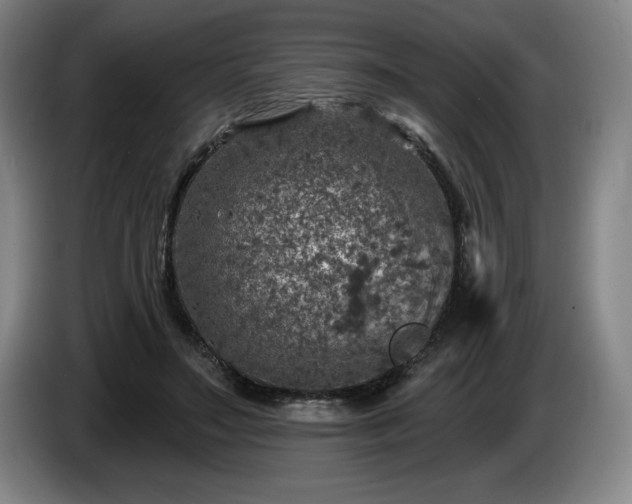 X0000085000499200703121503