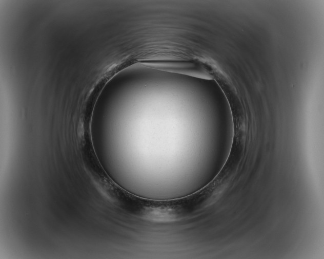 X0000085000500200703121503