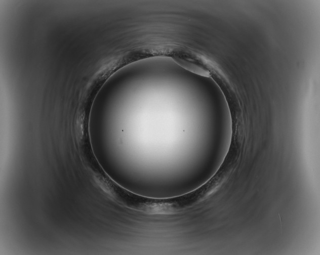 X0000085000501200703121503