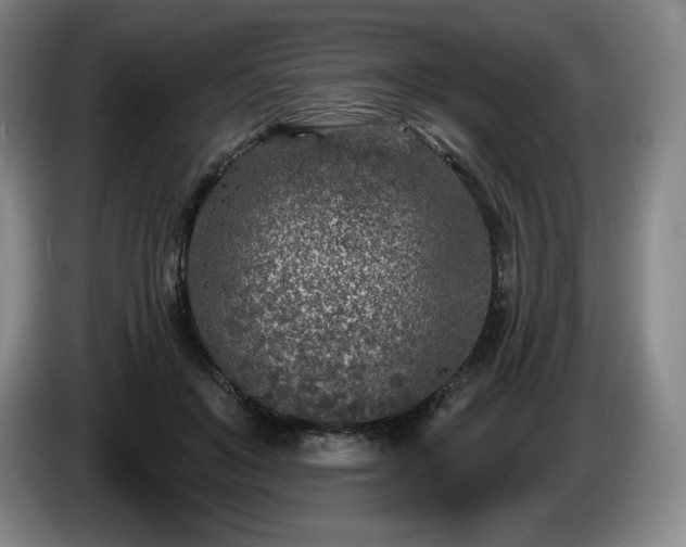 X0000085000503200703121503