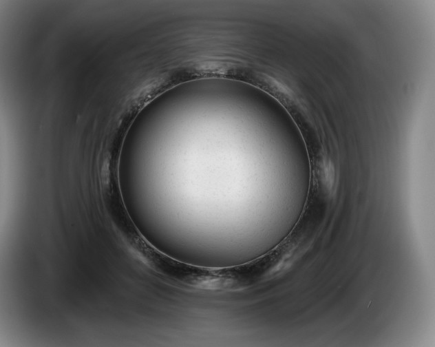 X0000085000504200703121503