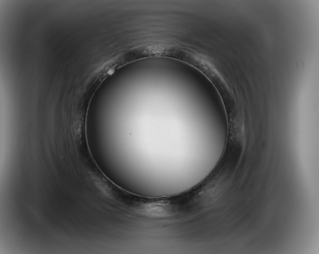 X0000085000505200703121503