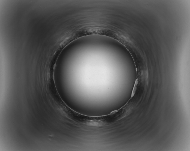 X0000085000508200703121503