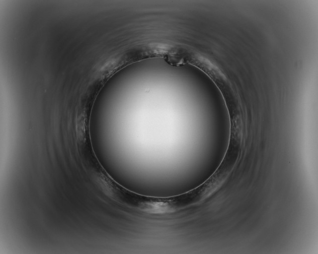 X0000085000509200703121503