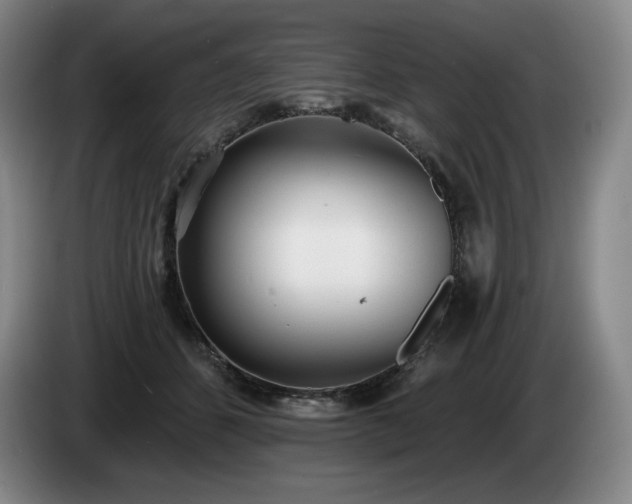 X0000085000512200703121503