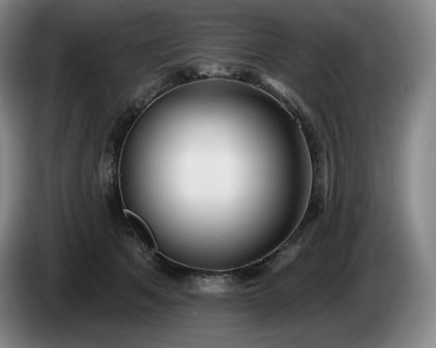 X0000085000513200703121503