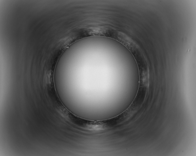 X0000085000514200703121503