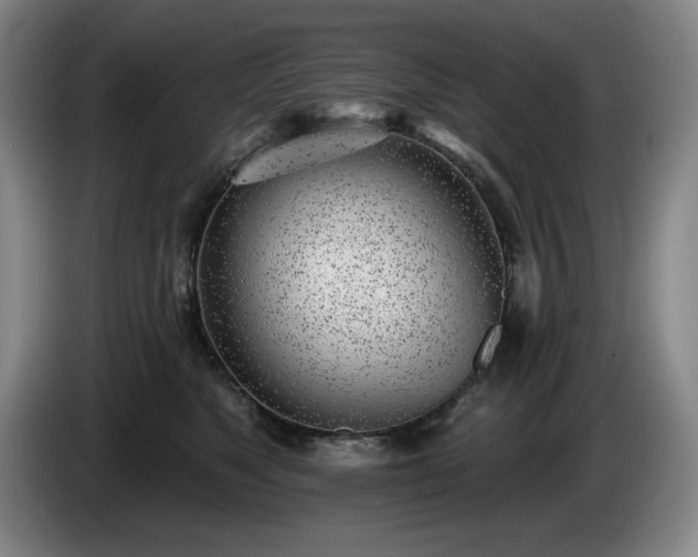 X0000085000517200703121503