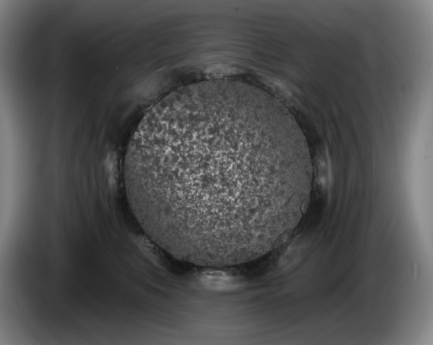 X0000085000519200703121503