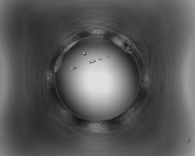 X0000085000521200703121503