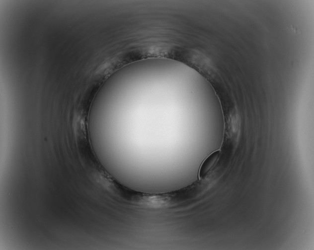 X0000085000522200703121503