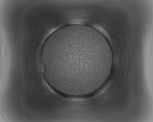 X0000085000529200703121502