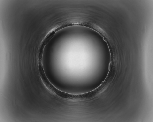 X0000085000530200703121502