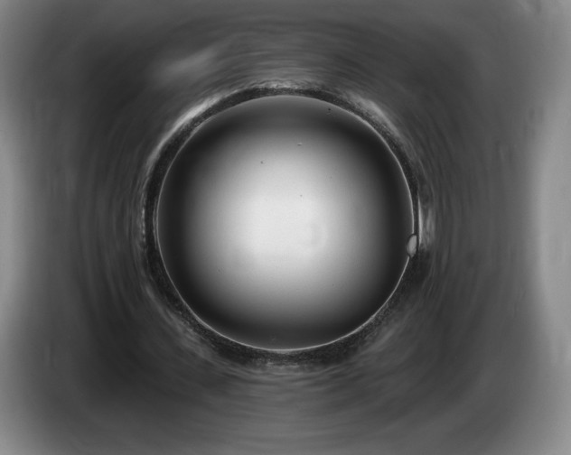 X0000085000531200703121502