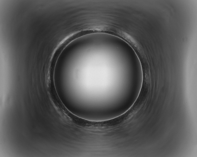 X0000085000532200703121502