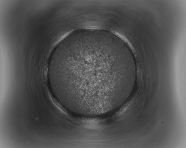 X0000085000533200703121502