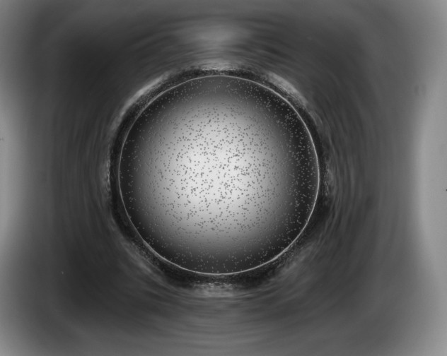 X0000085000535200703121502