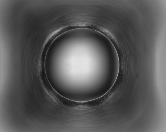 X0000085000536200703121502