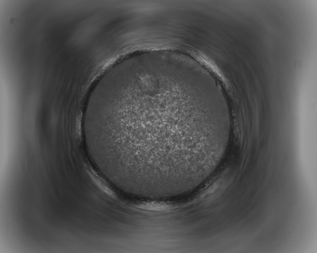 X0000085000537200703121502