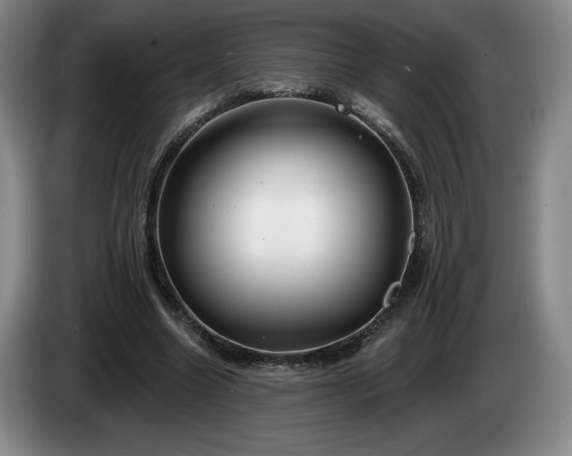 X0000085000538200703121502