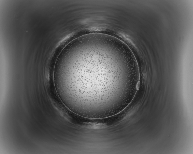 X0000085000539200703121502