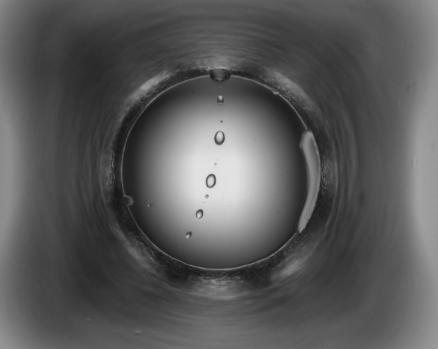 X0000085000540200703121502