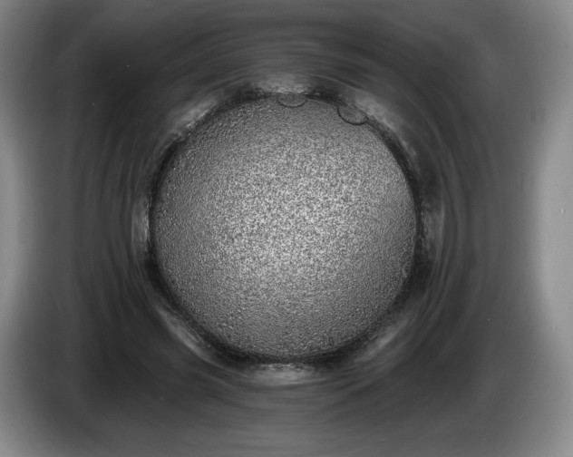 X0000085000541200703121502