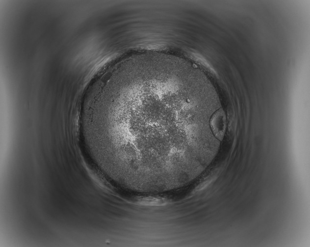 X0000085000542200703121502