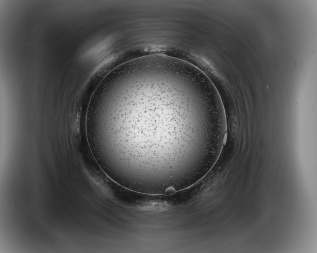 X0000085000543200703121502