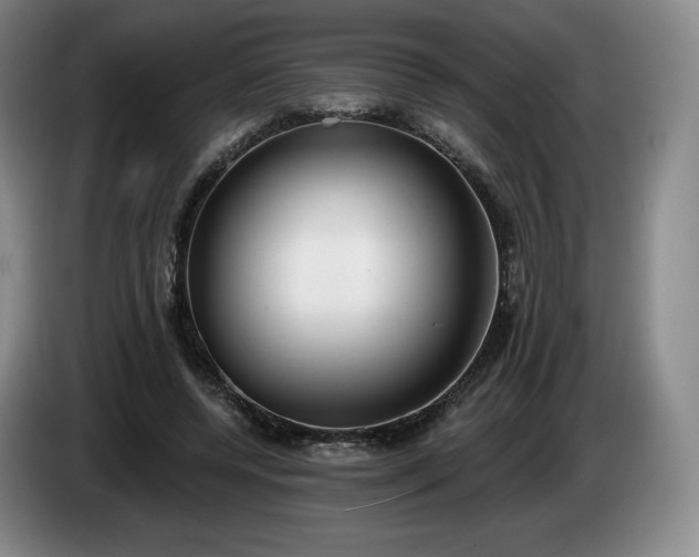 X0000085000544200703121502