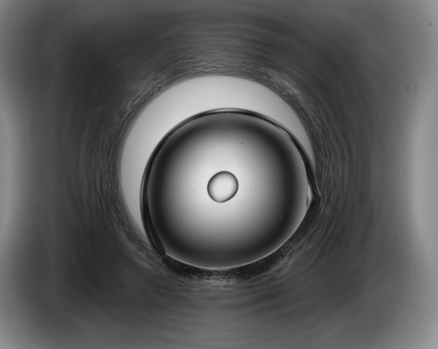 X0000085000546200703121502