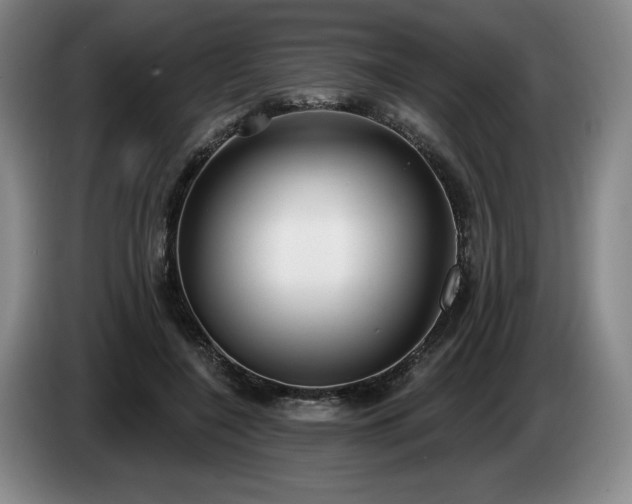 X0000085000548200703121502