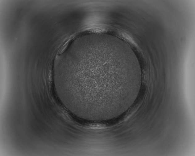 X0000085000549200703121502