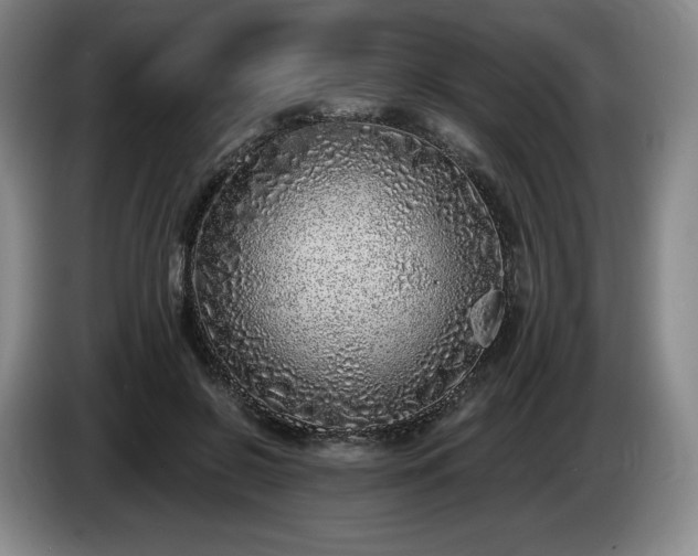 X0000085000550200703121502